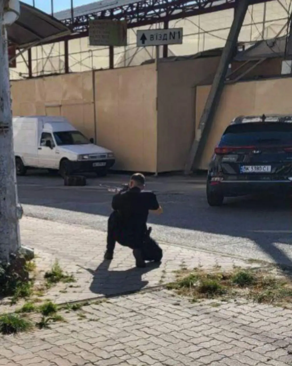 Чому лисиці все частіше з’являються у Рівному: пояснення фахівців