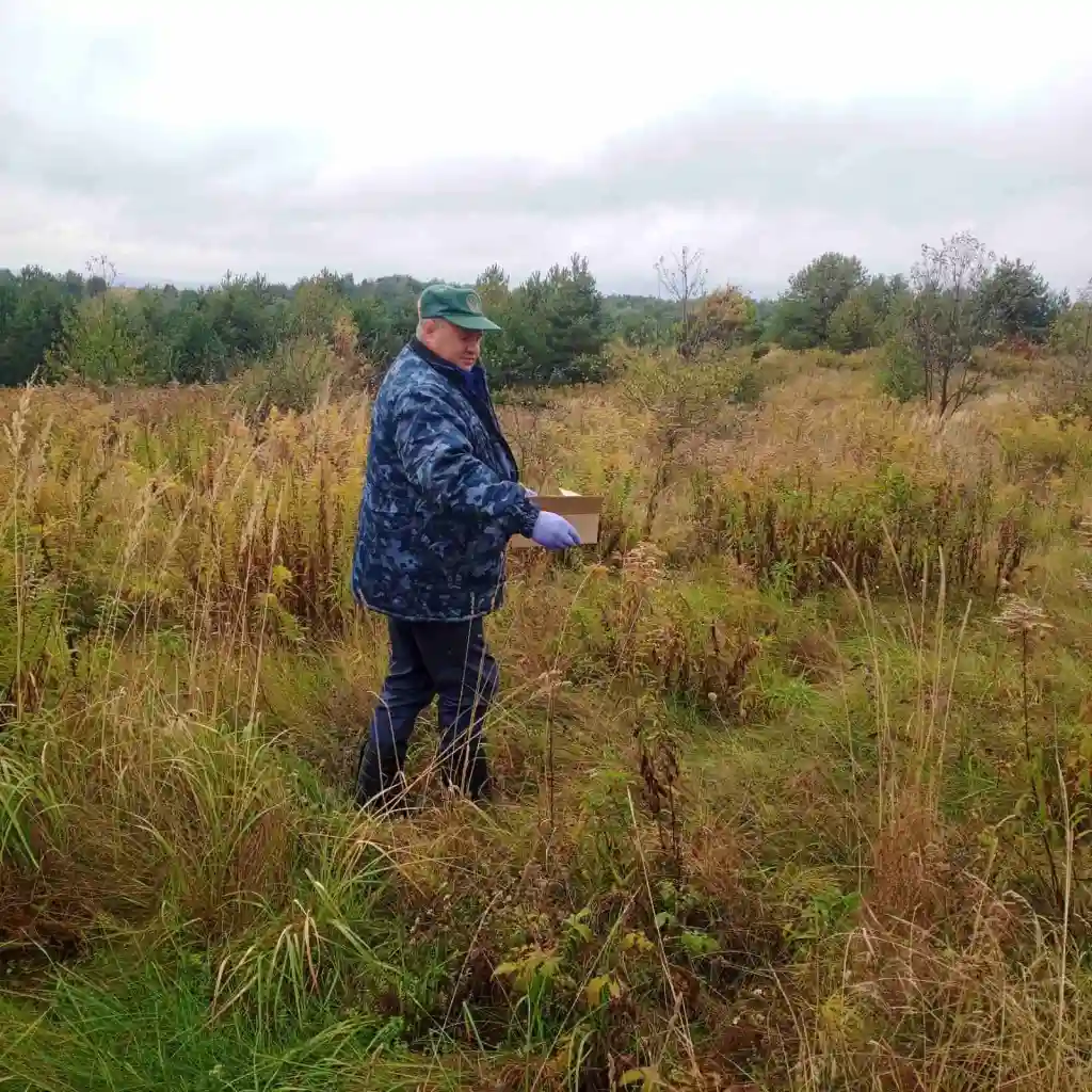 На Рівненщині розпочалася вакцинація диких тварин від сказу