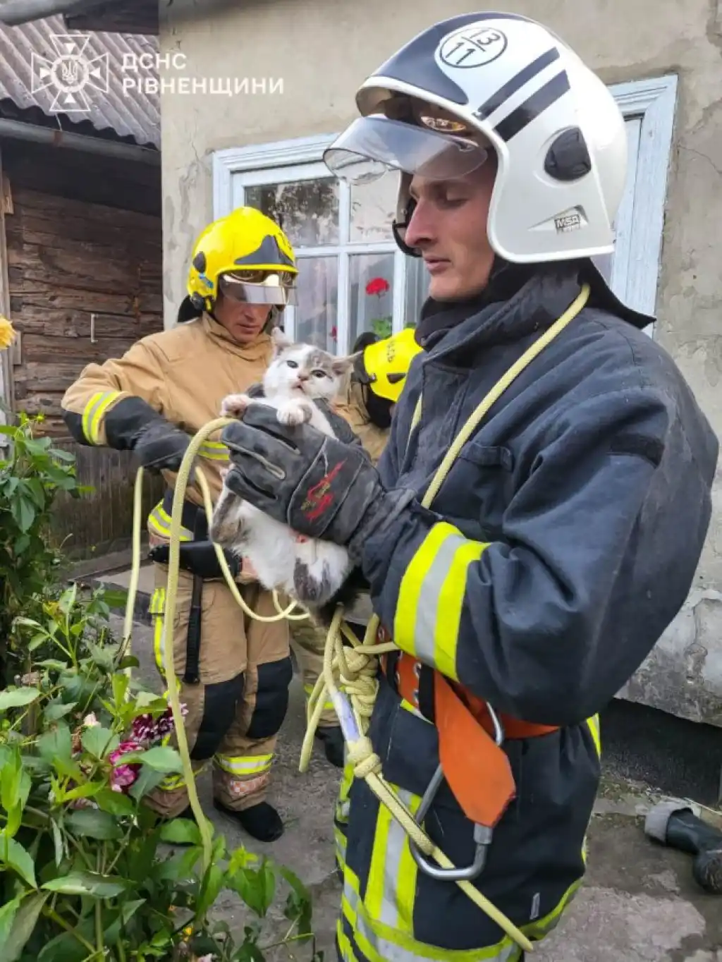 На Поліссі рятувальники витягли кота з 9-метрового колодязя