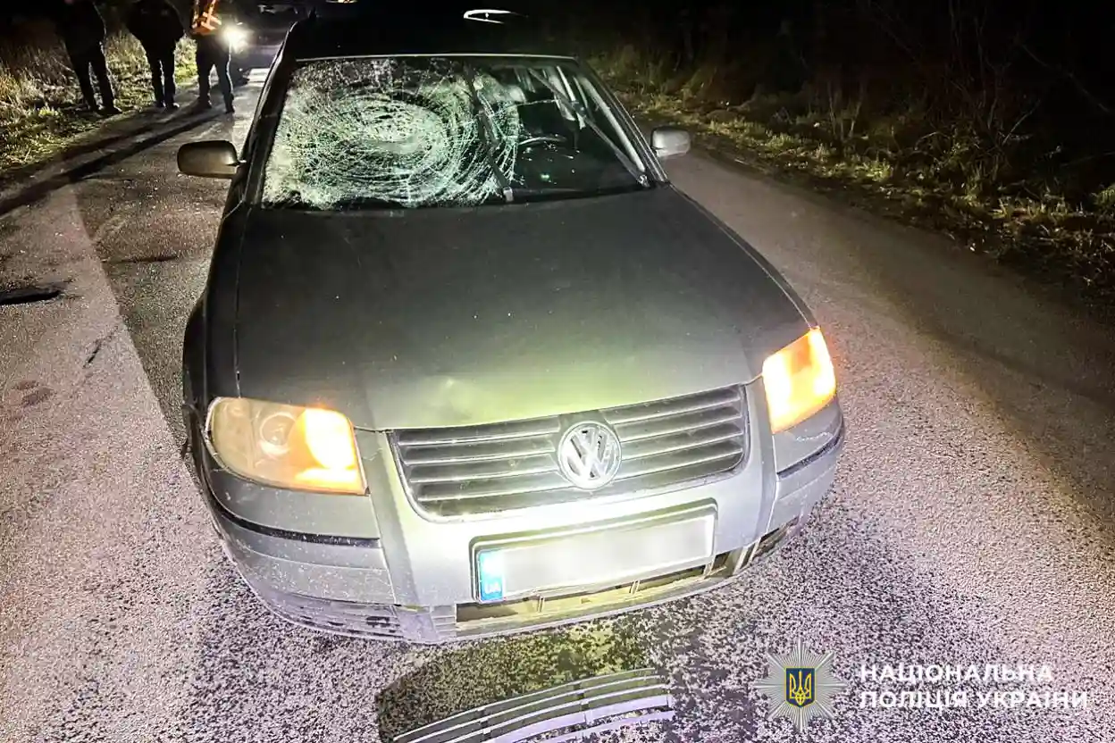 Смертельна аварія біля Малого Шпакова: під колесами легковика загинув пішохід