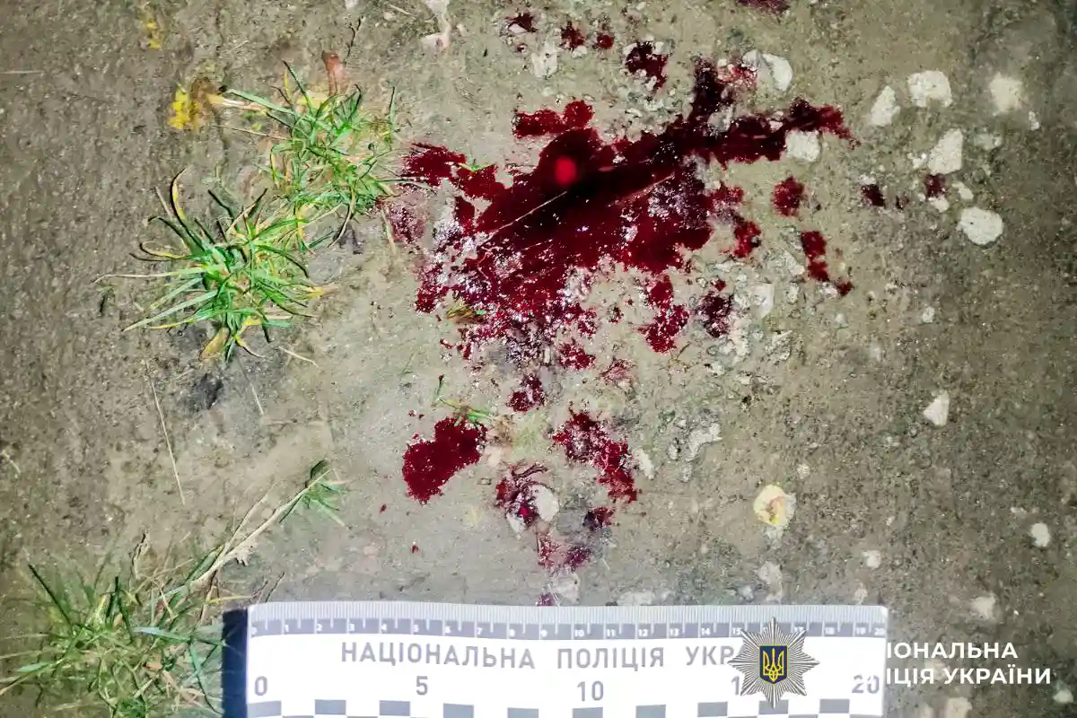 На Рівненщині таксист поранив пасажира та його собаку ножем На Рівненщині таксист поранив пасажира та його собаку ножем