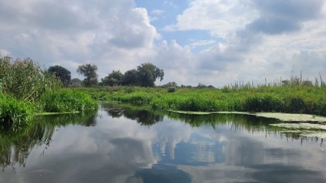 У Рівному створять новий природний заказник: міськрада дала зелене світло