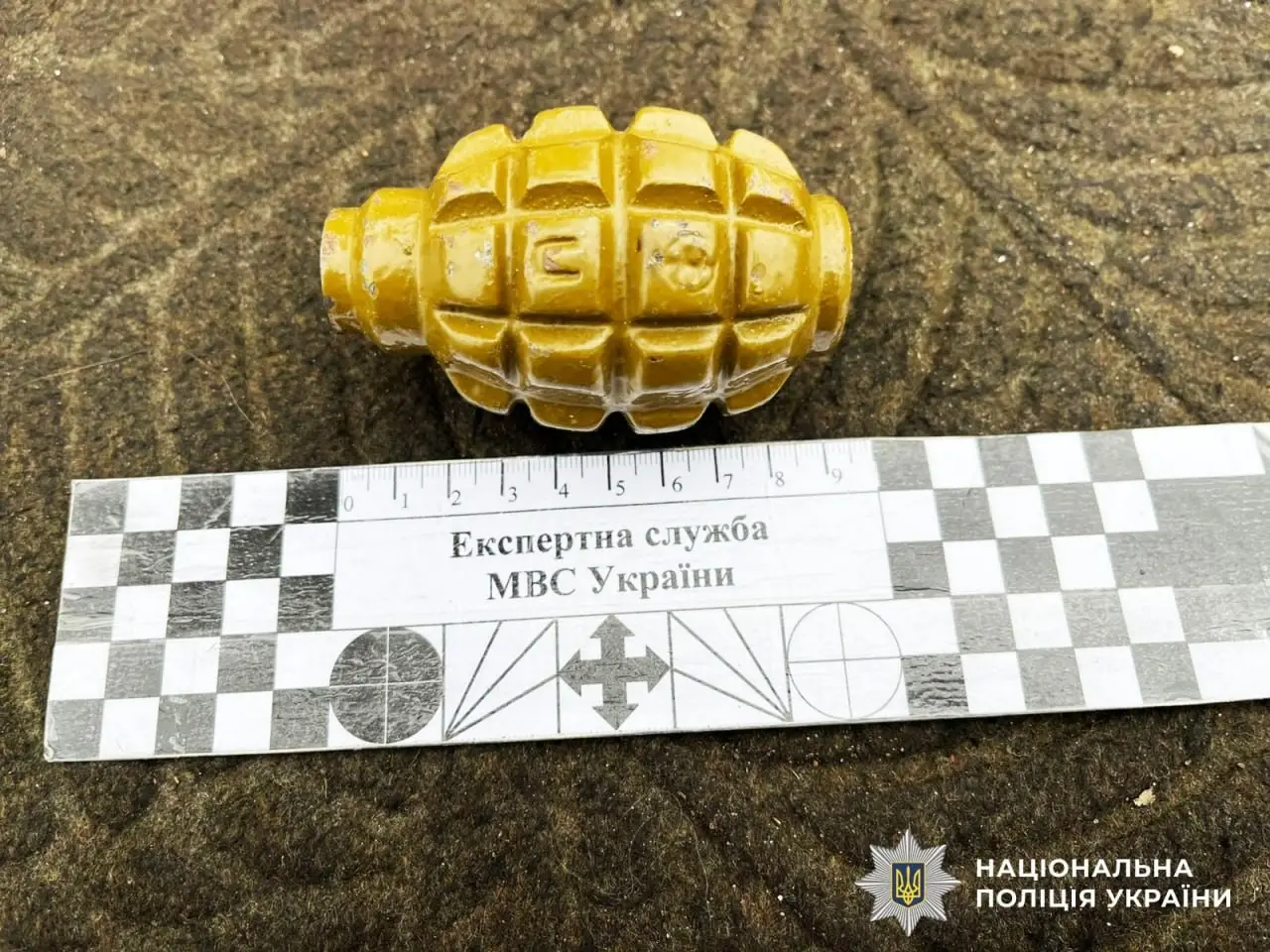Поліція вилучила арсенал боєприпасів у жителя Полісся