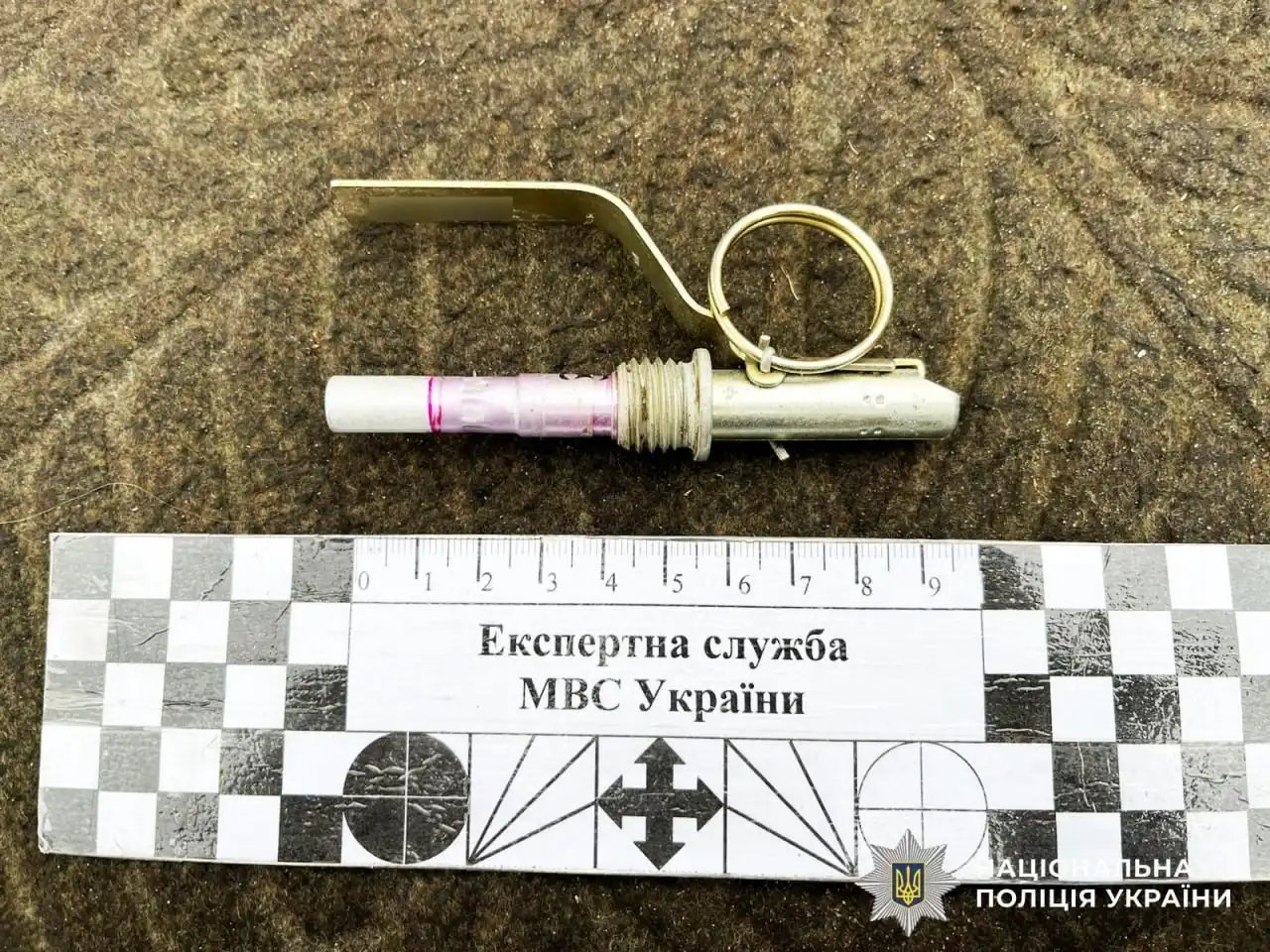 Поліція вилучила арсенал боєприпасів у жителя Полісся