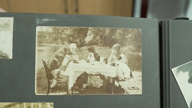 Острог крізь лінзу часу: як старі сімейні альбоми стають частиною великої історії