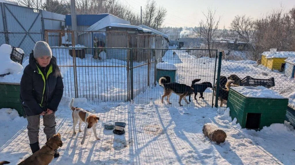 Вижити у морози: як у Рівному рятують чотирилапих із «критичного списку»