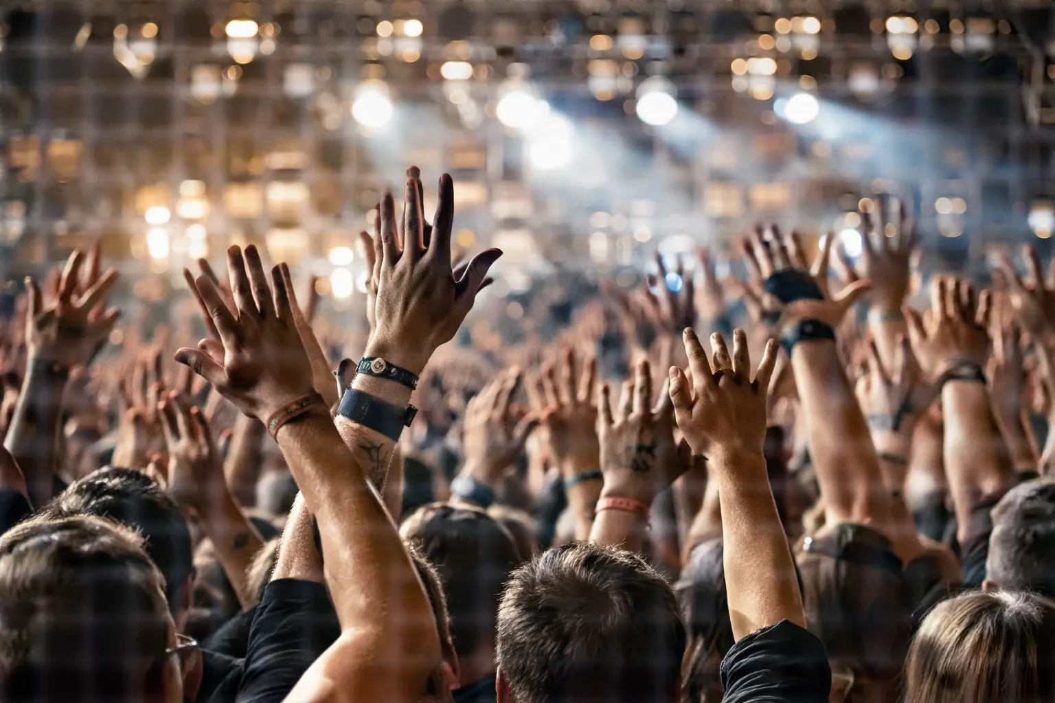 Голос свободи: чому варто відвідати PULSE OF NATION fest у серпні 2026