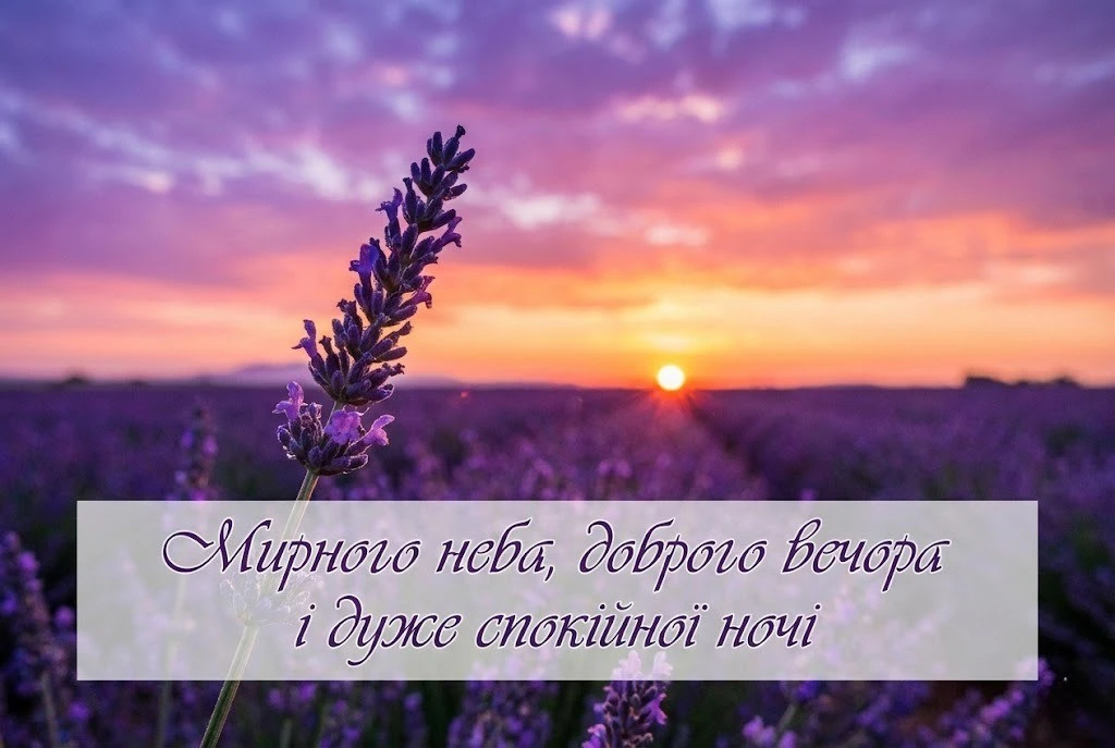 Побажання доброго вечора і спокійної ночі: душевні картинки та нові листівки для близьких