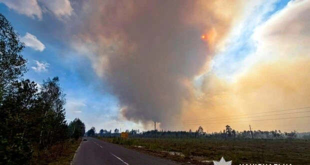 Боротьба зі стихією: лісова пожежа охопила Рівненщину