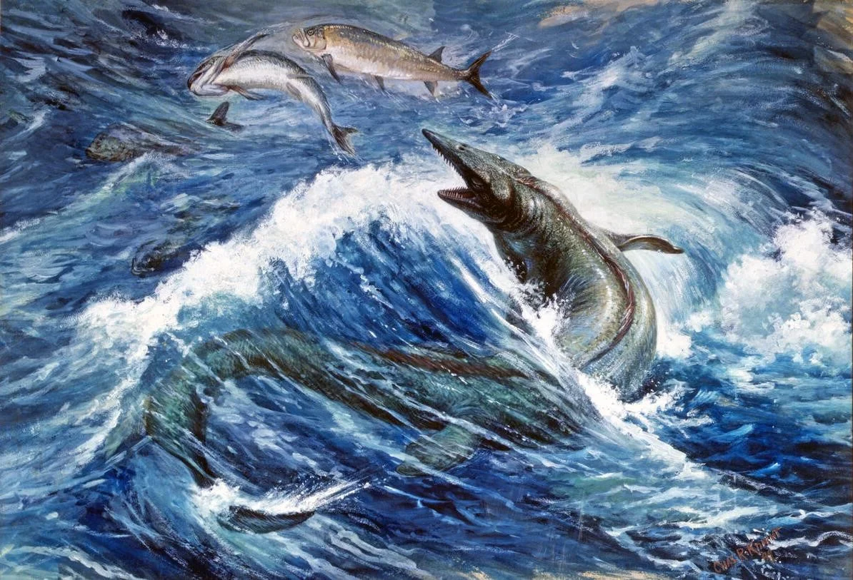 >Стародавній океанічний гігант Tylosaurus rex перевершував білу акулу