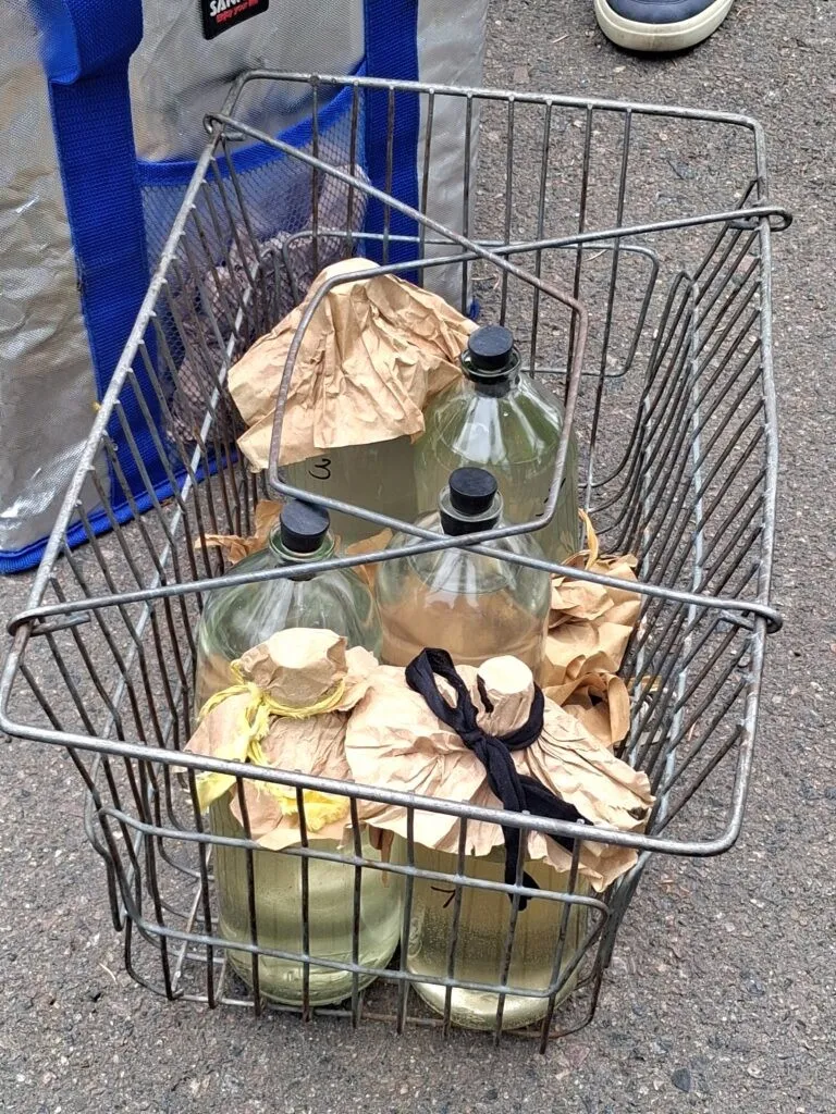 Аналіз води в Басівкутському озері: що відомо